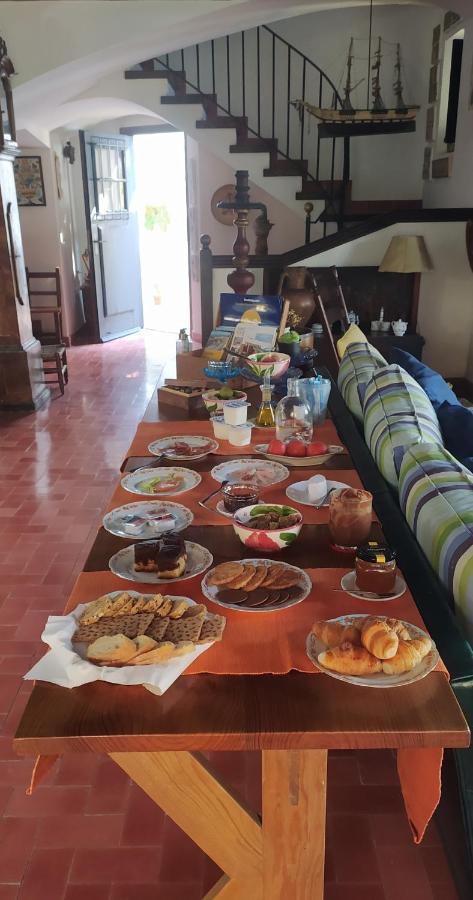 安科拉巴拉酒店 Roda de Bará 外观 照片